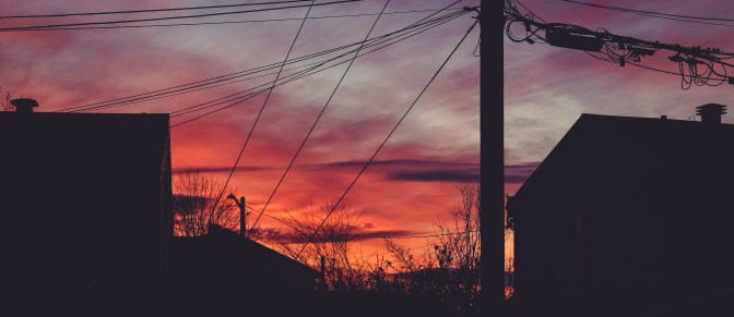 Photo by Sigmund on Unsplash