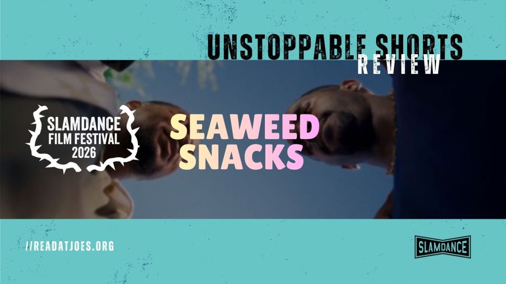 Seaweed Snacks