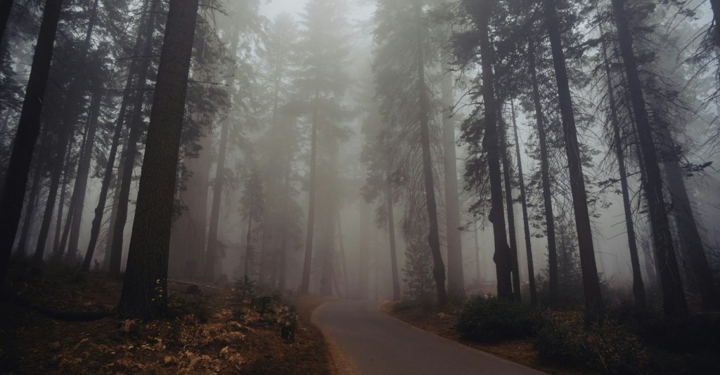 photo by Sheng Hu for unsplash